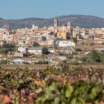 Requena tendrá una universidad adscrita al CEU-Cardenal Herrera con el grado de enfermería para el curso 26-27