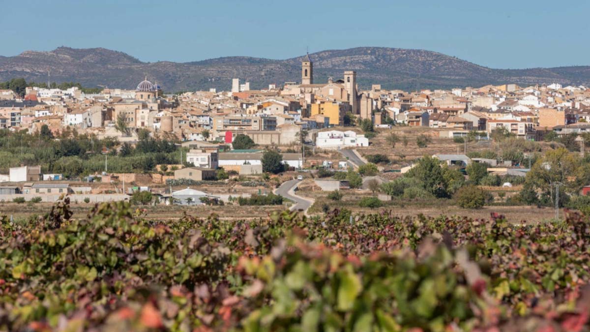 Requena tendrá una universidad adscrita al CEU-Cardenal Herrera con el grado de enfermería para el curso 26-27
